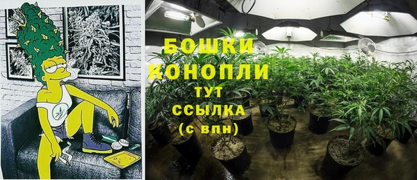 mix Богородицк